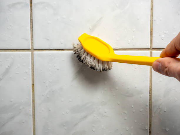 Best Mold Damage Repair  in Willoughby Hills, OH