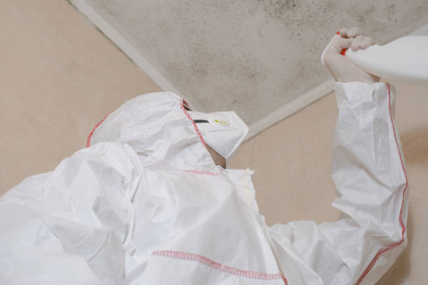 Crawl Space Mold Removal in Willoughby Hills, OH